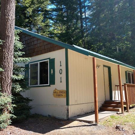 Hall Creek Cabin Packwood Ngoại thất bức ảnh