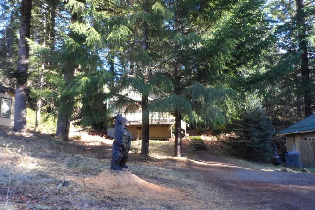 Hall Creek Cabin Packwood Ngoại thất bức ảnh