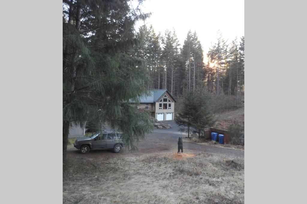 Hall Creek Cabin Packwood Ngoại thất bức ảnh