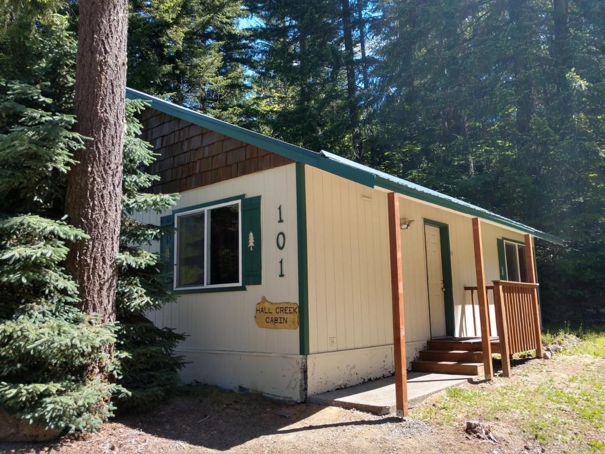 Hall Creek Cabin Packwood Ngoại thất bức ảnh