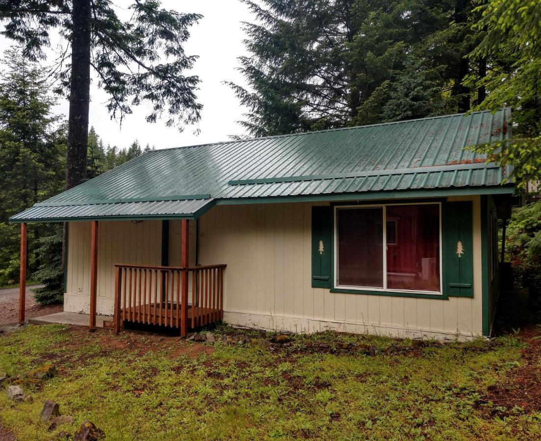 Hall Creek Cabin Packwood Ngoại thất bức ảnh